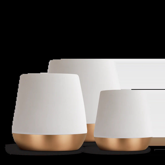 Joey Double Wall Ceramic Mugs