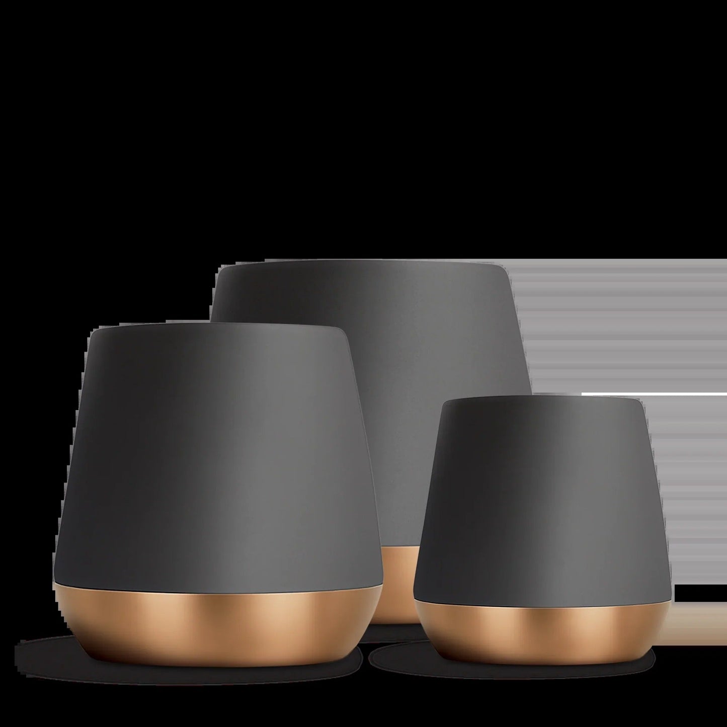 Joey Double Wall Ceramic Mugs