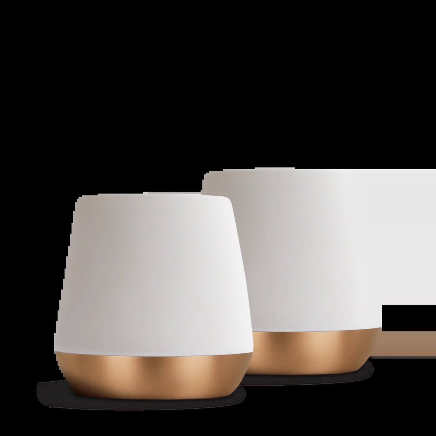 Joey Double Wall Ceramic Mugs